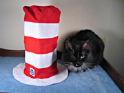 Cat in the Hat promo set