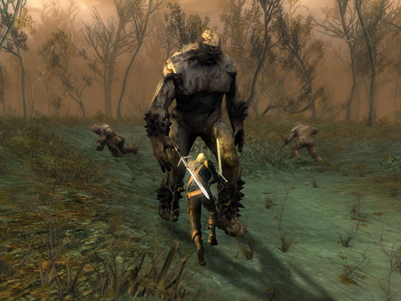 review of the witcher