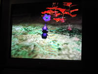 Pikmin 2 screen shot