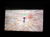 Pikmin 2 screen shot