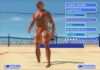 Summer Heat Beach VolleyBall screen shot