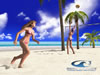 DOA Xtreme Beach Volleyball