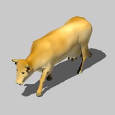 Moo.