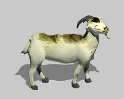 No, I'm not related to Billy Goat Gruff!